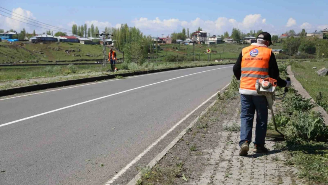 Kars'ta kaldırımlar yabani otlardan temizleniyor