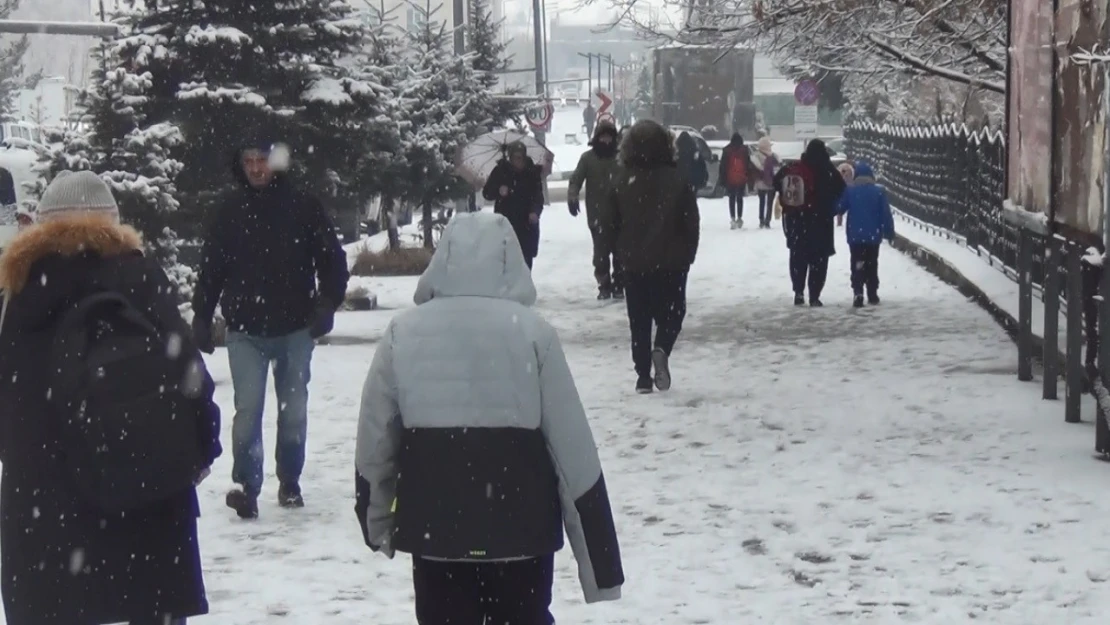 Kars'ta kar yağışı etkili oluyor