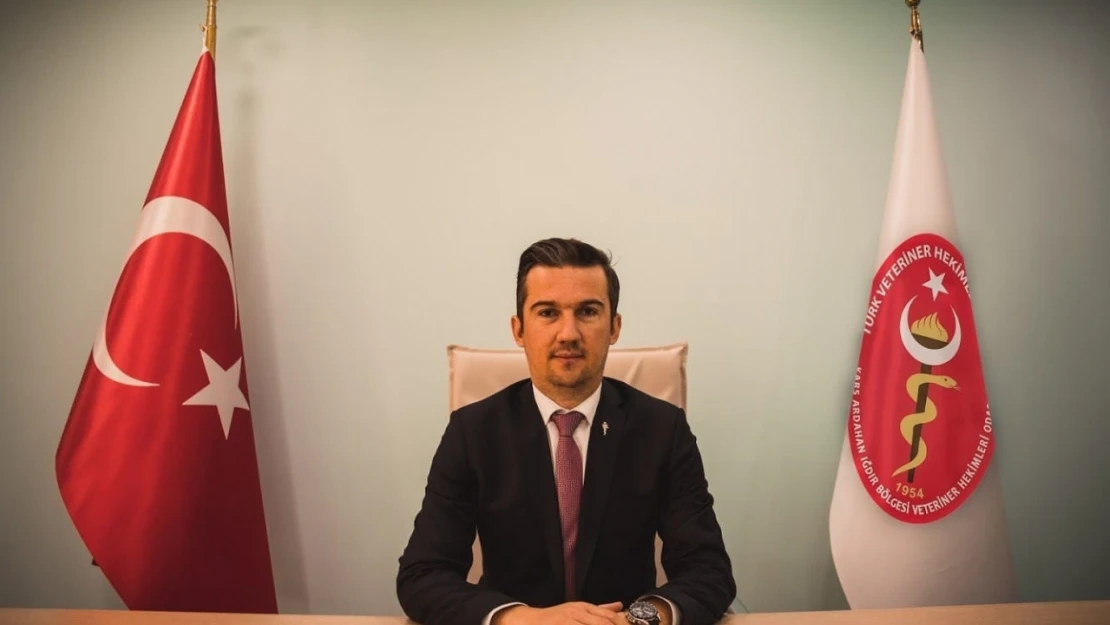 Kars'ta VHO'dan sahipsiz hayvanlar için eylem planı çağrısı
