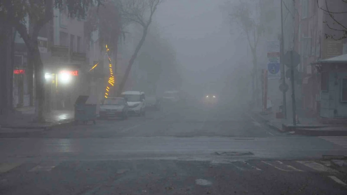 Kars'ta yoğun sis: Göz gözü görmedi, görüş mesafesi 3 metreye düştü