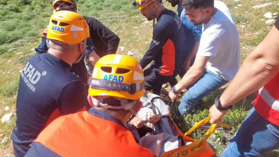 Kayalıklardan düşerek mahsur kalan 2 kişi kurtarıldı