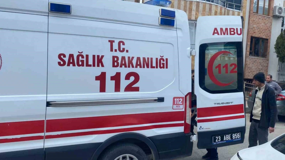 Kediye çarpmamak için kaza yaptı: 1 yaralı