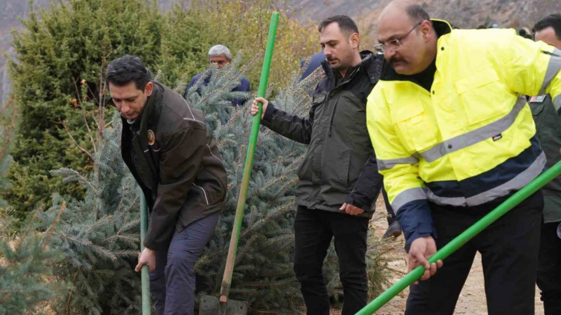 Kemaliye'de geleceğe nefes için fidan dikildi