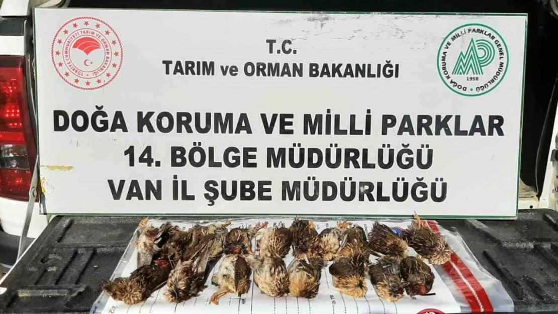 Kota aşımı yapan 3 avcıya 57 bin 373 lira cezai işlem uygulanacak