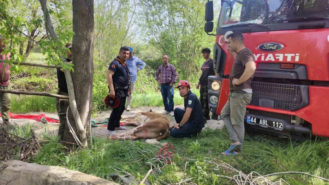 Kuyuya düşen ineği itfaiye kurtardı