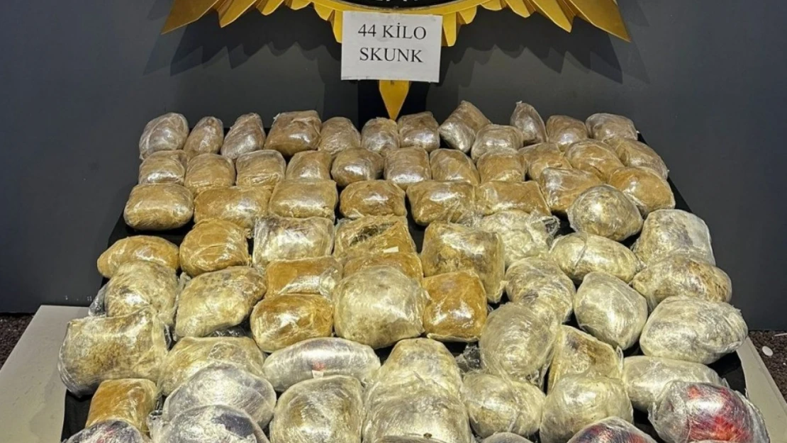 Malatya'da 44 kilogram skunk ele geçirildi