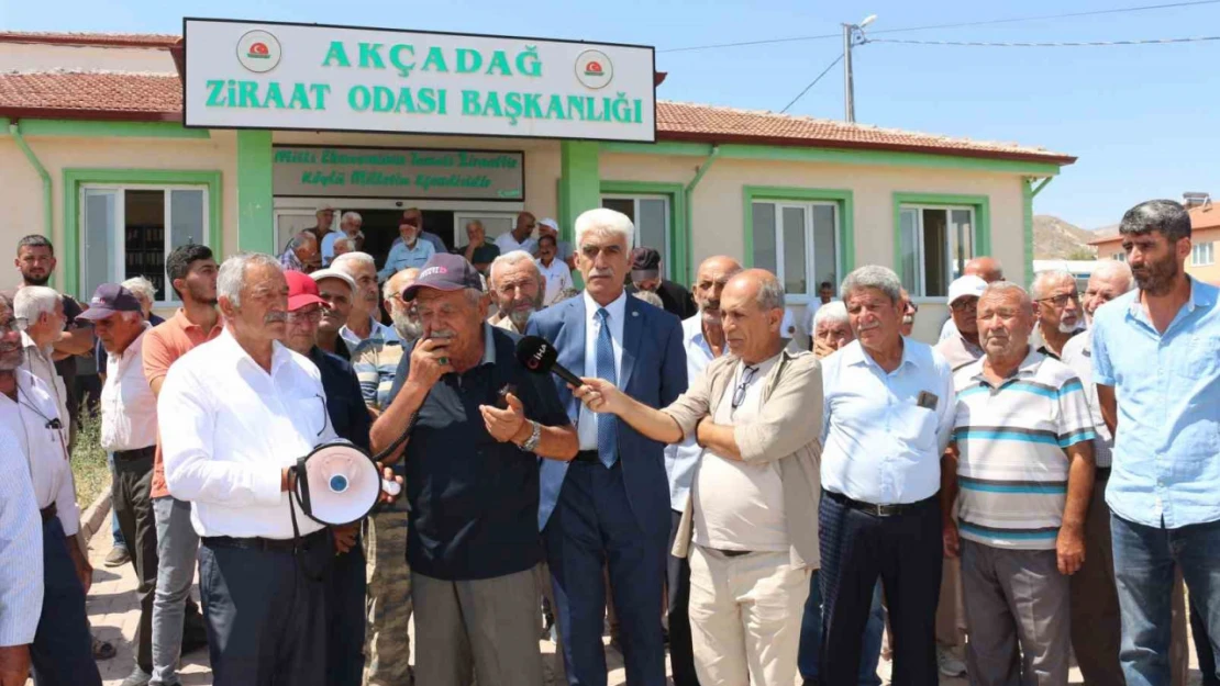 Malatya'da kayısı fiyatlarında istikrar arayışı sürüyor