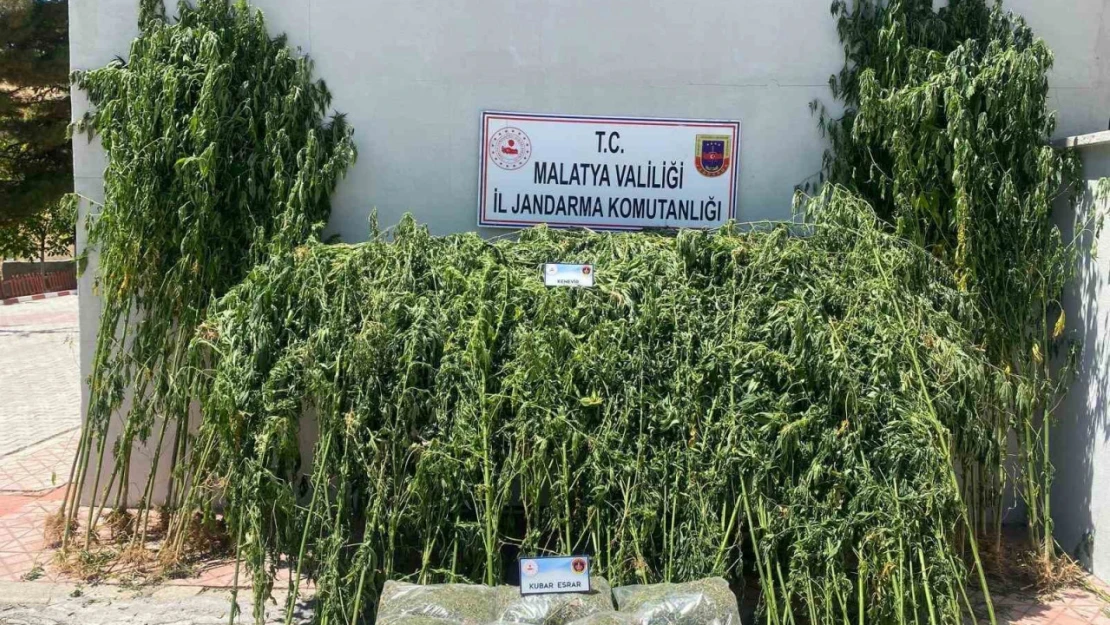 Malatya'da uyuşturucu operasyonu