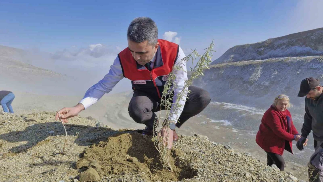 Meralara tuz çalısı fidesi dikimi yapıldı