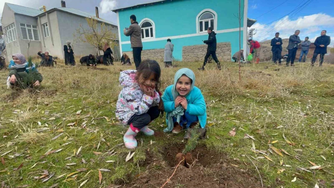 Muradiye'de 'Hafızlar Hatıra Ormanı' oluşturuldu