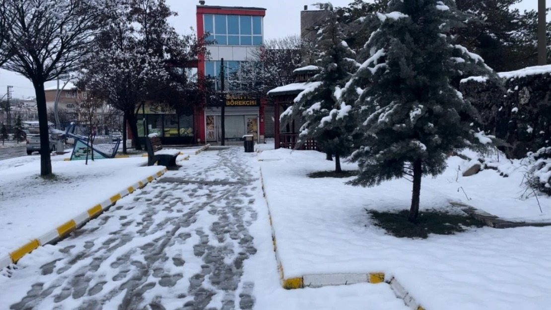 Muradiye'de kar yağışı