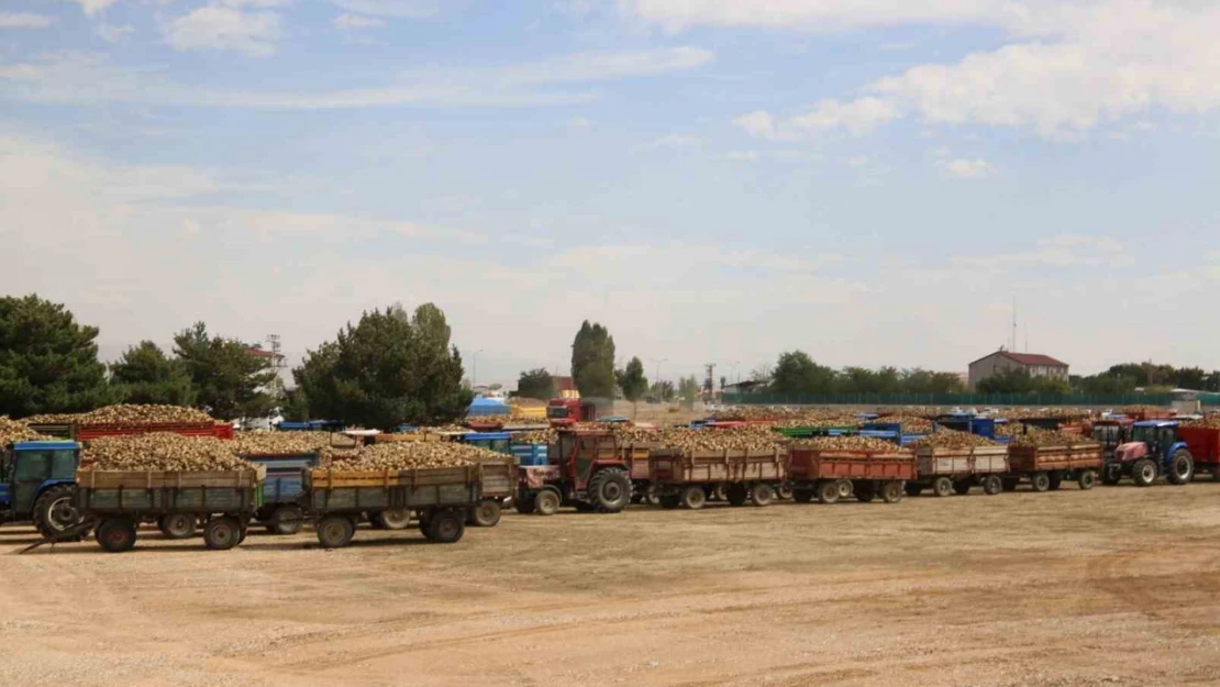 Muş ekonomisine 2 milyar 500 milyon lira katkı sağlayacak şeker pancarı alımı başladı