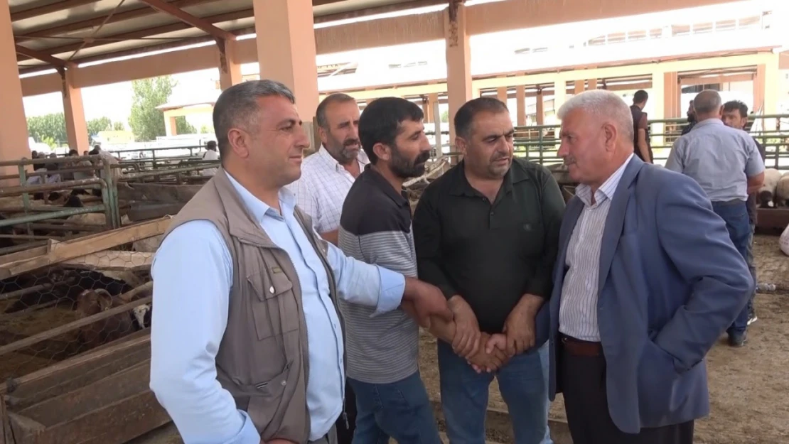 Muş'ta canlı hayvan pazarında kurban hareketliliği arttı
