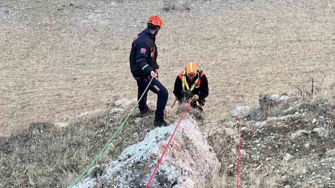 Muş'ta kayalıkta mahsur kalan keçiler kurtarıldı