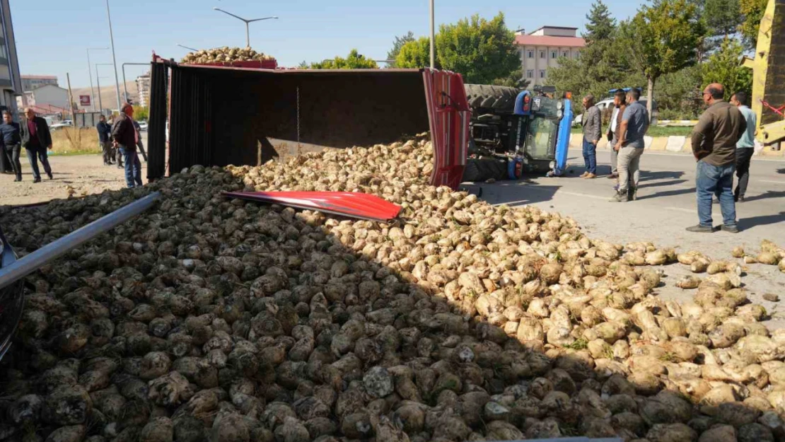 Muş'ta şeker pancarı yüklü traktör devrildi