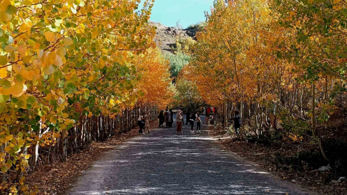 Nemrut Kalderası'nda sonbahar güzelliği