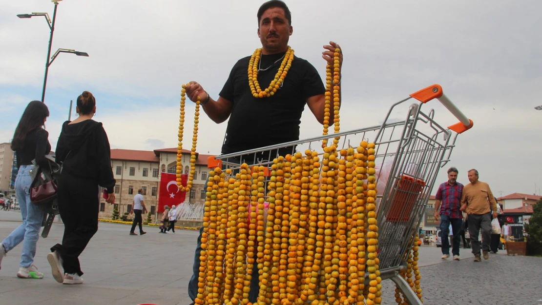 O sirkelerin şahı, sezon üretimi başladı