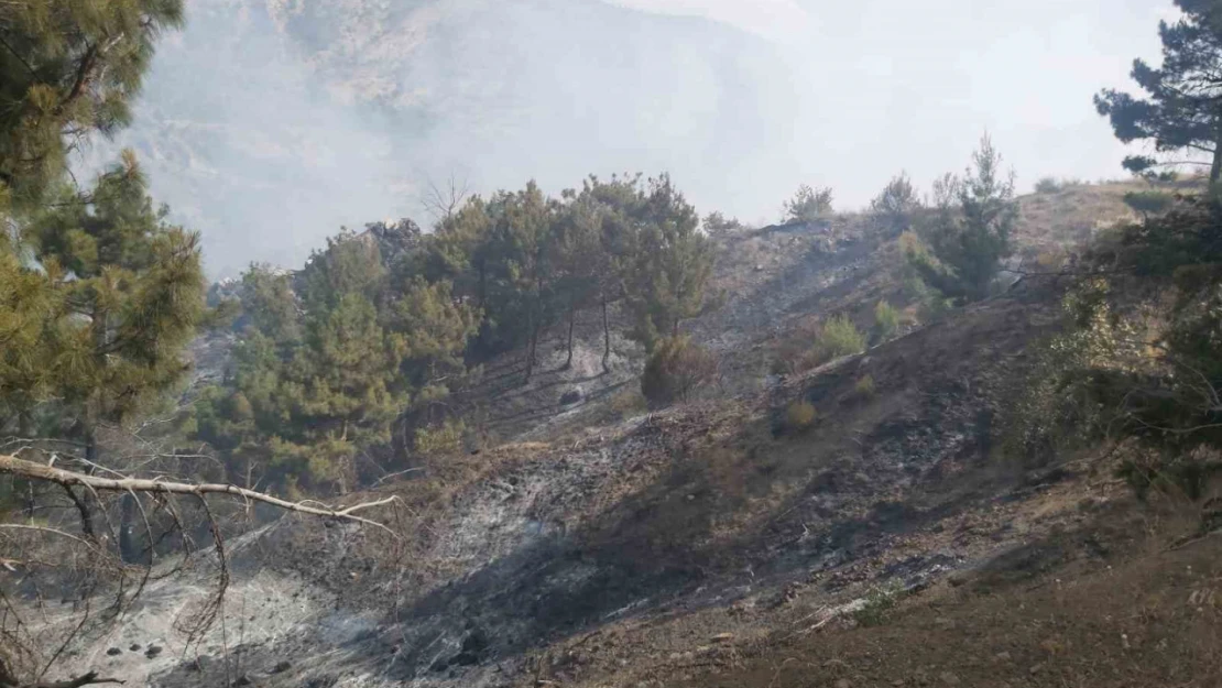 Ormanlık alanda çıkan örtü yangını söndürüldü