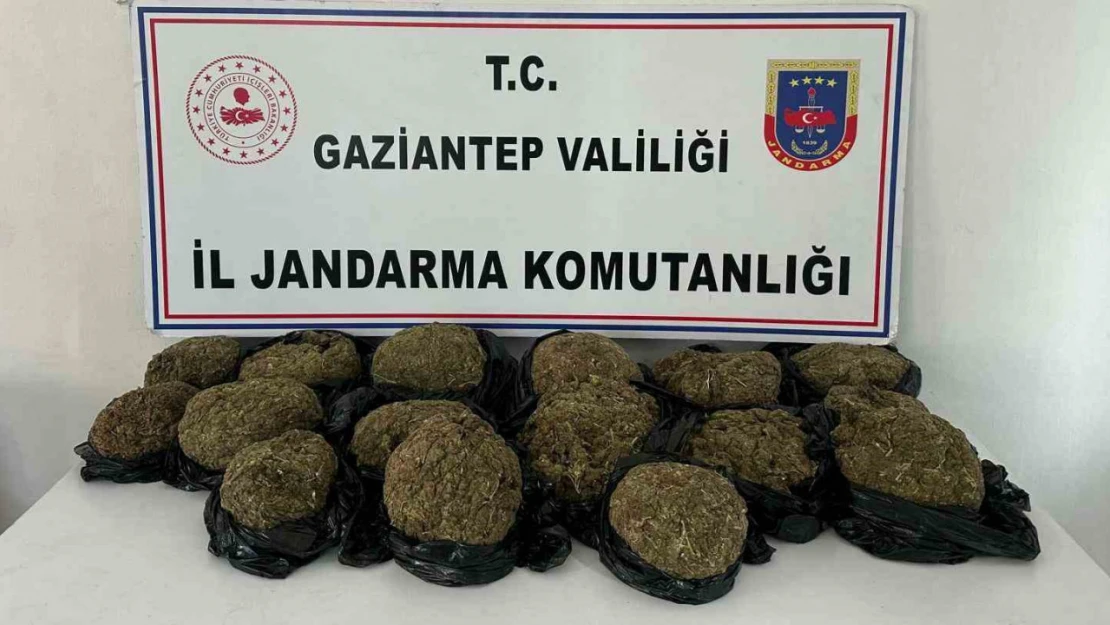 Otobüsün bağajından 18.5 kilo skunk ele geçirildi