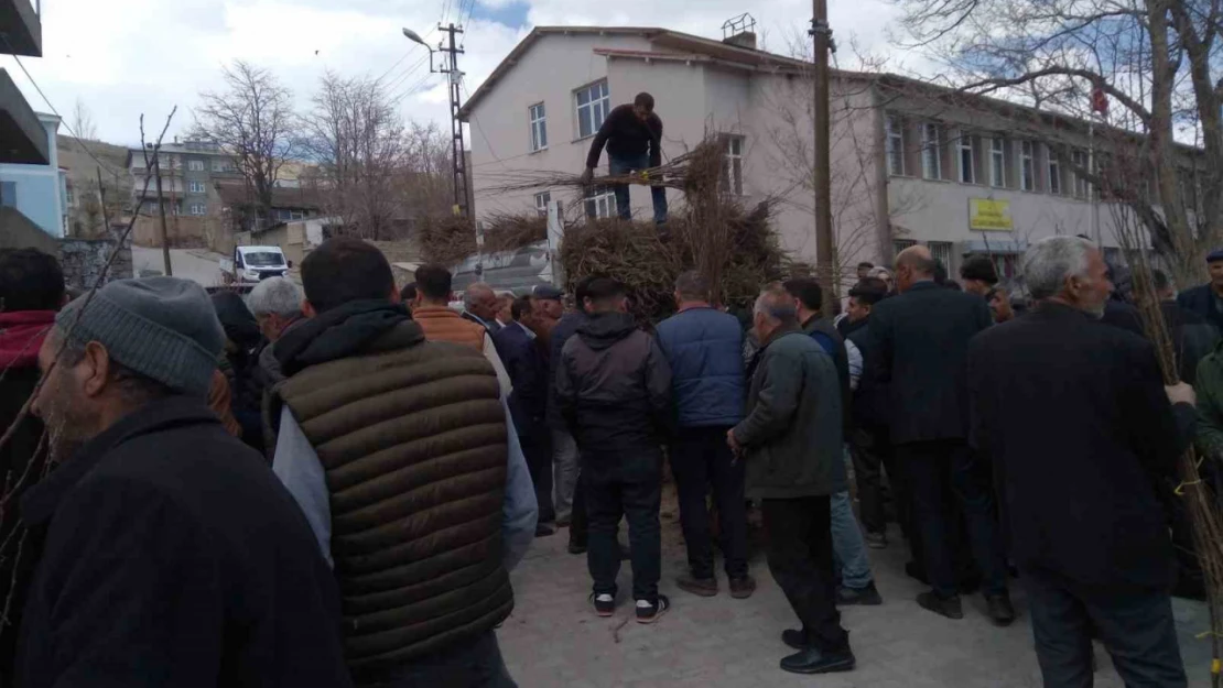 Özalp'ta çiftçilere meyve fidanı dağıtımı