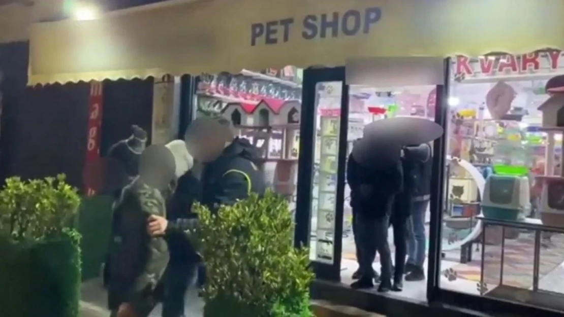 Pet shop'ta düzensiz göçmen operasyonu