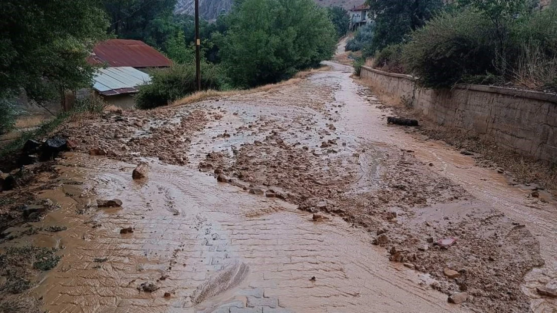 Sağanak yağış sele neden oldu