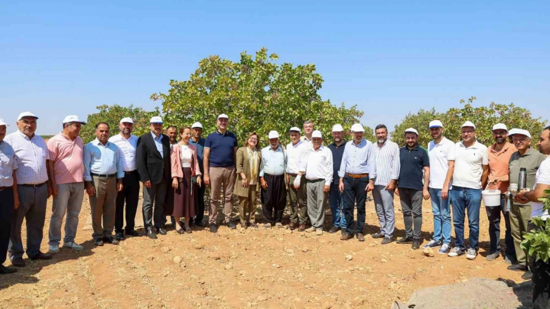 Şahin Barak Ovası'nda hasada katıldı