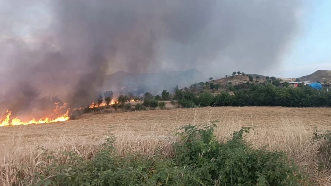 Saman yangınında hayvanlar tahliye edildi