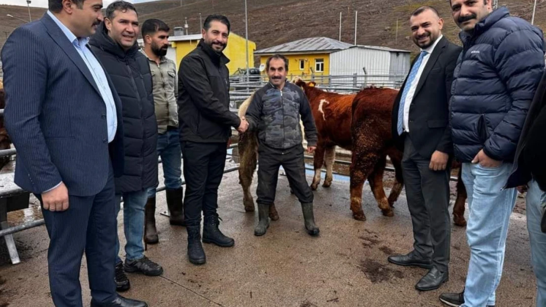 Sarıkamış Belediye Başkanı Serdar Kılıç, Hayvan Pazarında incelemelerde bulundu