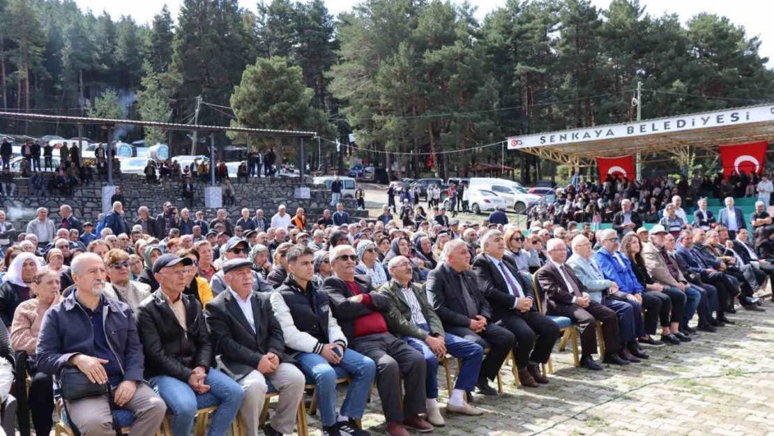 Şenkaya'da bal festivali coşkusu