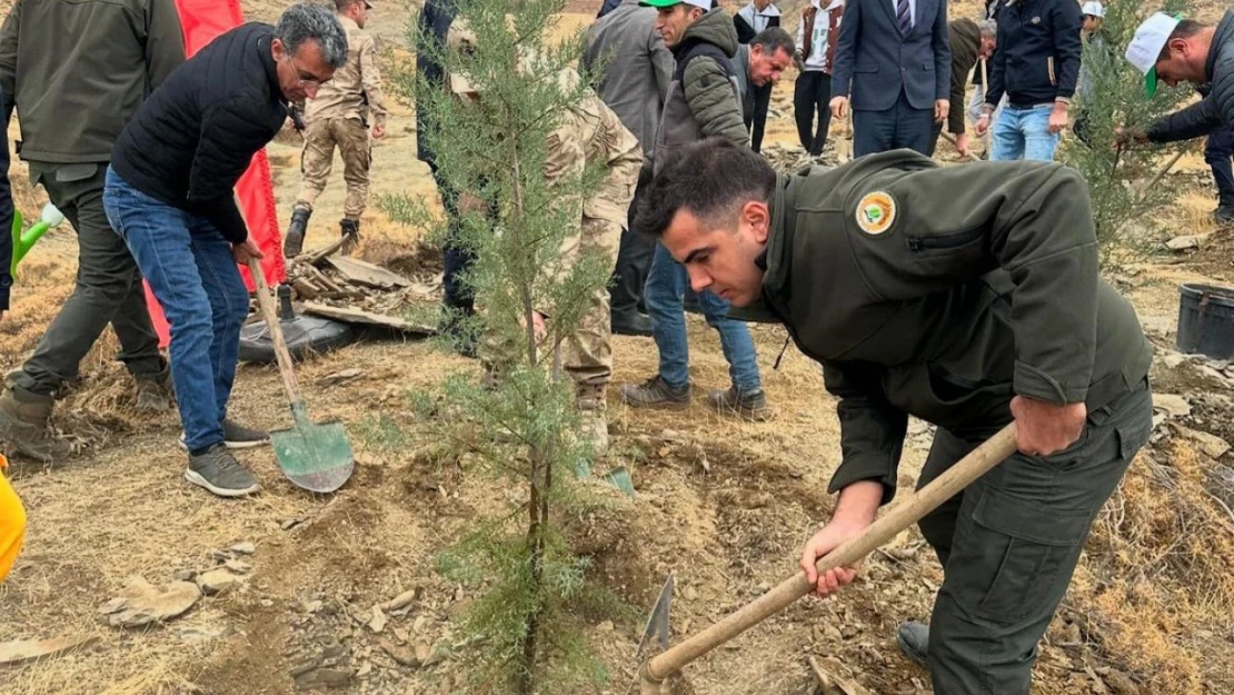 Sincik'te 100 fidan toprakla buluştu