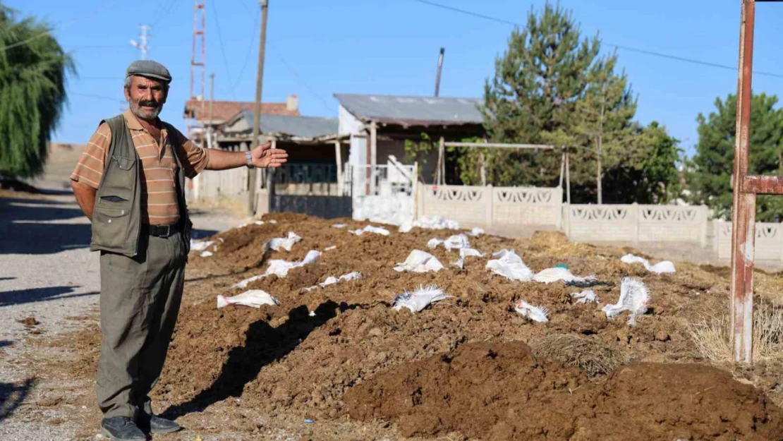 Sivas Belediyesi'ne 'tezek' tepkisi