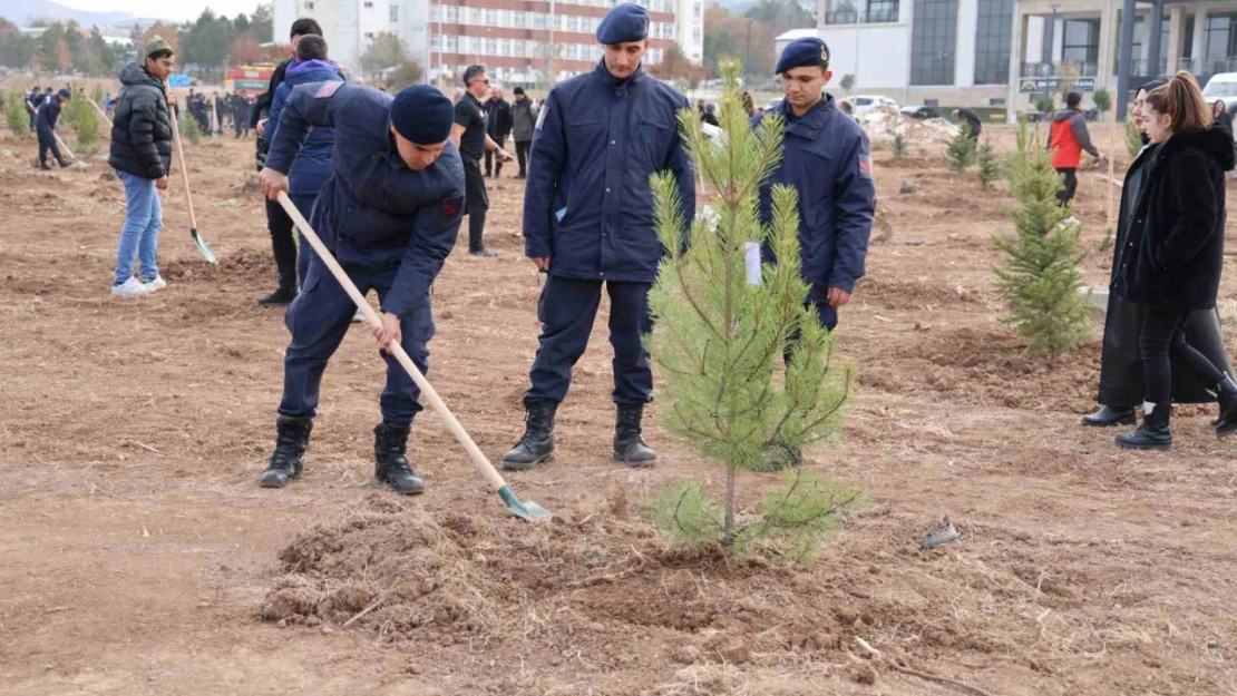 Sivas'ın ormanlık alanı 504 bin dekara yükseldi