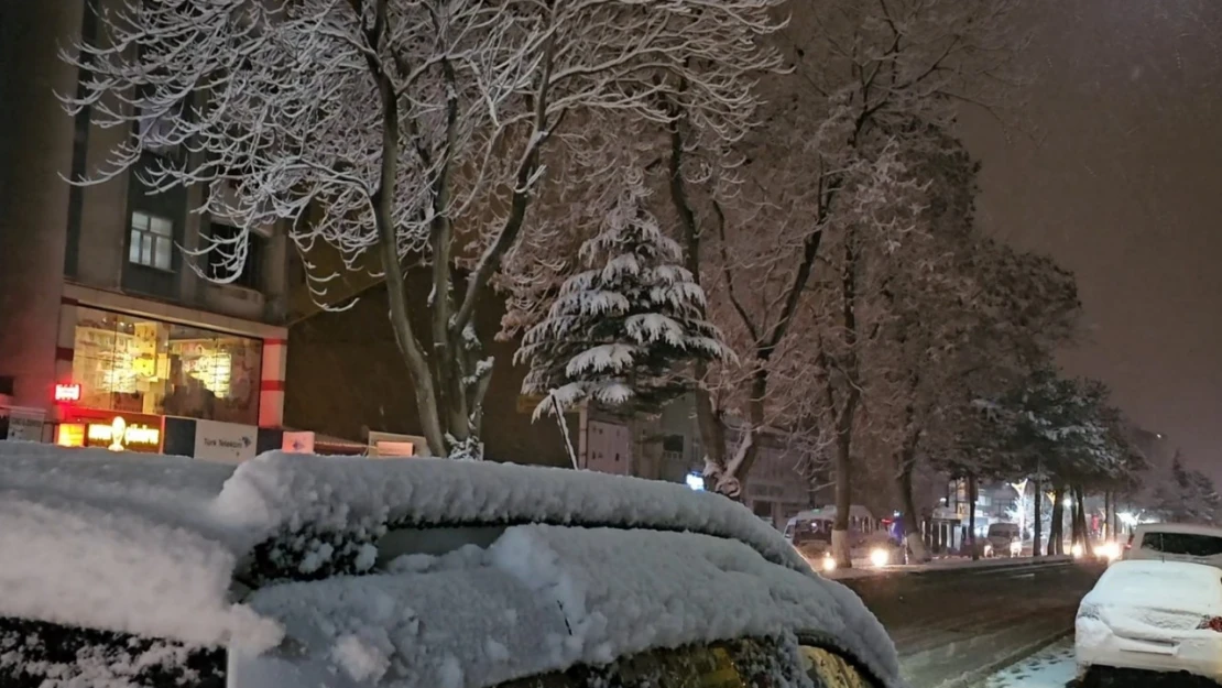 Tatvan'da 4 köy yolu ulaşıma kapandı