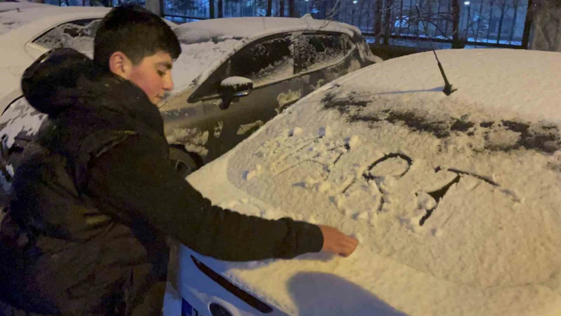 Tatvan'da kar yağışı etkili oldu