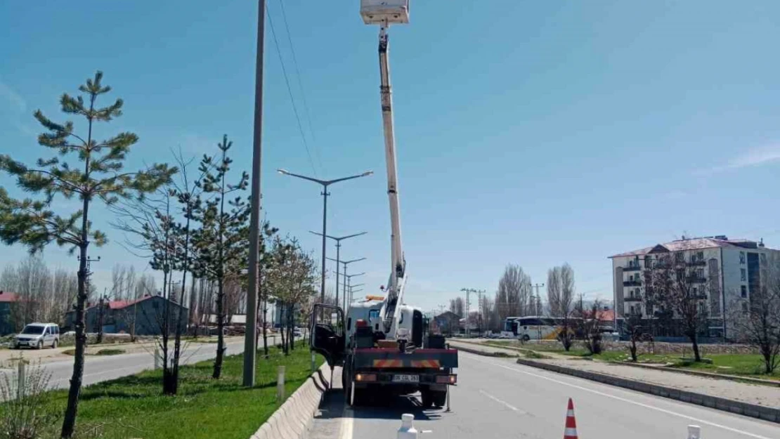 TEDAŞ, aydınlatma denetimi yapacak