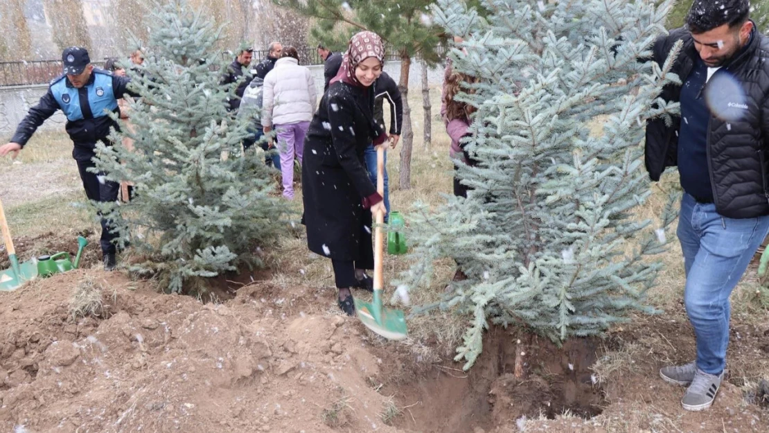 Tercan'da geleceğe nefes için fidan dikildi