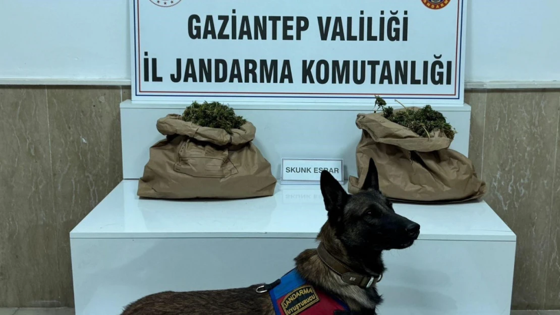 Uyuşturucu tacirine jandarma baskını