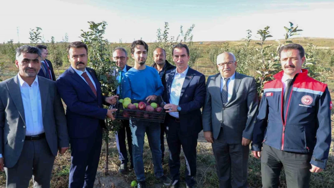 Vali Karakaya, Ahlat'ta elma bahçesini gezdi