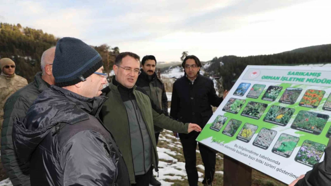 Vali Ziya Polat'tan turizm hamlesi