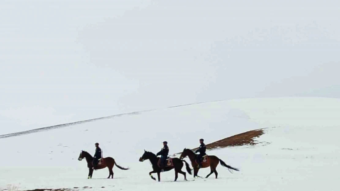 Van'da 108 düzensiz göçmen yakalandı