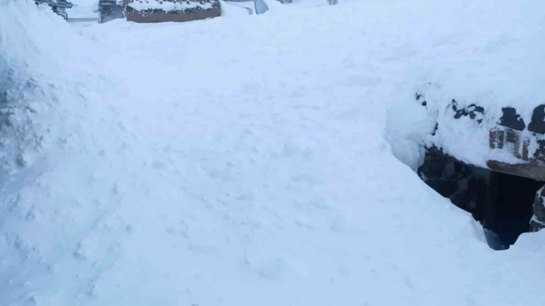 Van'da bir evin üzerine çığ düştü