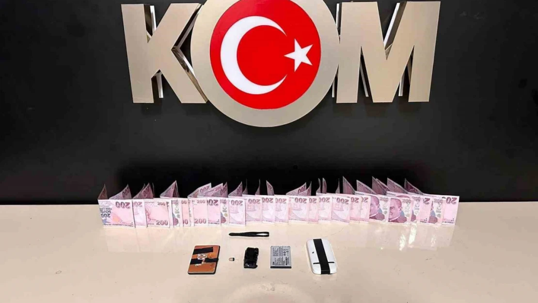 Van'da gümrük kaçakçılığı operasyonları