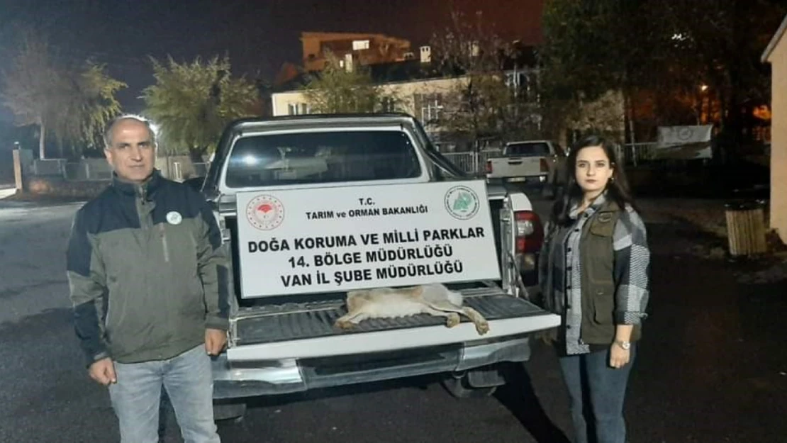 Van'da yasadışı avlanan şahsa 11 bin lira caza