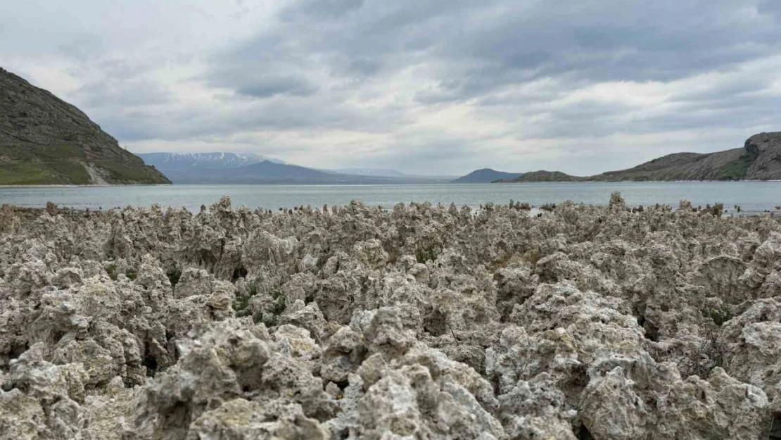 Van Gölü kıyılarındaki mikrobiyalitler vatandaşları şaşırttı