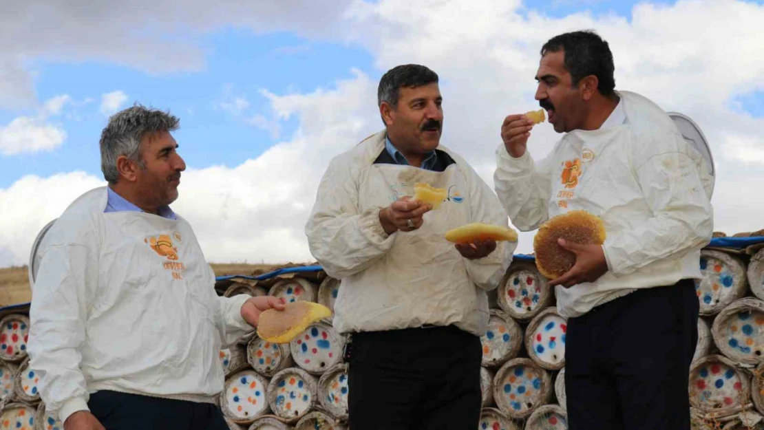 Vanlı arıcılar son yılların en verimli sezonunu yaşadı