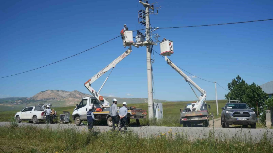 VEDAŞ'tan kuş ölümlerine karşı izolasyon çalışması