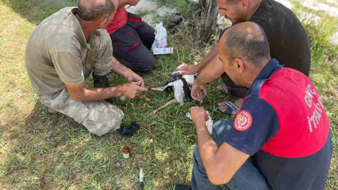 Yuvadan düşen yavru leyleklerin imdadına itfaiye ekipleri yetişti