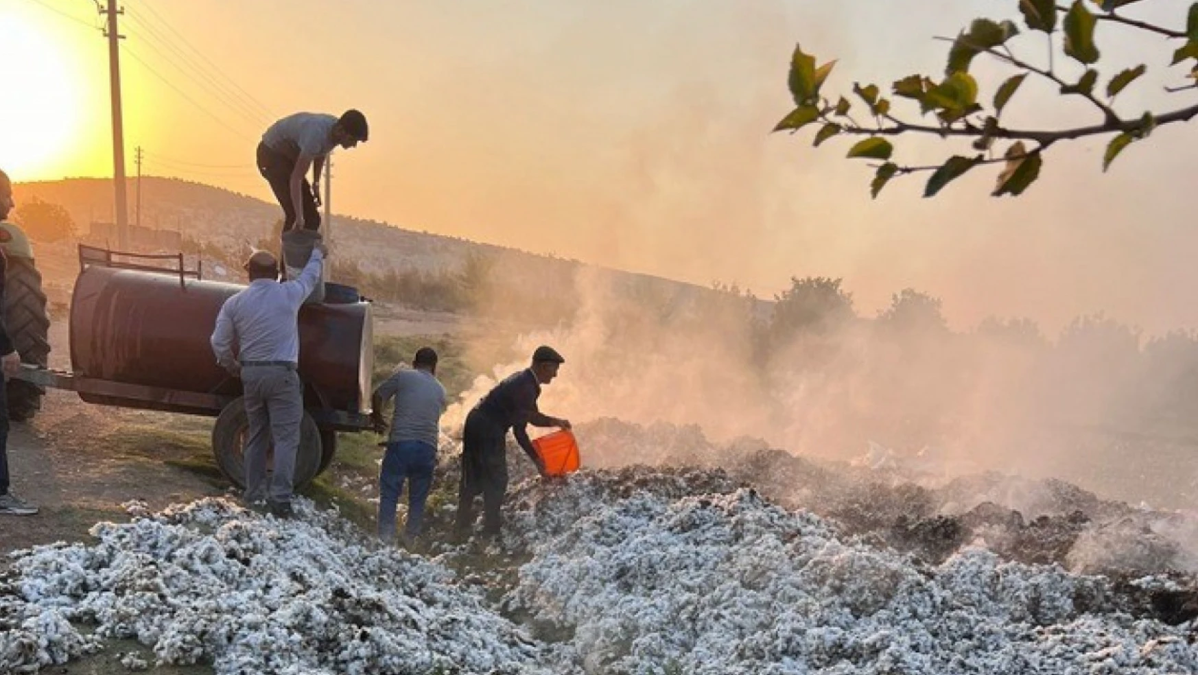 Besni'de 6,5 ton pamuk yandı