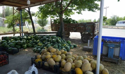 Doğu'nun Çukurova'sından çevre illere sebze ve meyve satılıyor